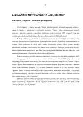Ilgalaikio turto apskaita: prekyba tabaku UAB "Cigarai" 15 puslapis