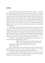 Ilgalaikio turto apskaita: prekyba tabaku UAB "Cigarai" 3 puslapis