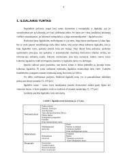 Ilgalaikio turto apskaita: prekyba tabaku UAB "Cigarai" 4 puslapis