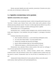 Ilgalaikio turto apskaita: prekyba tabaku UAB "Cigarai" 5 puslapis