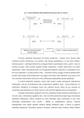Ilgalaikio turto apskaita: prekyba tabaku UAB "Cigarai" 7 puslapis
