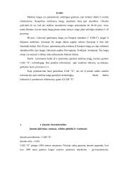 Įmonės analizė: medinių langų gamyba