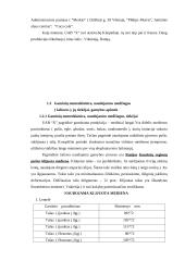 Įmonės analizė: medinių langų gamyba 3 puslapis
