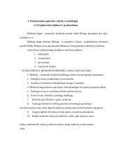 Įmonės analizė: medinių langų gamyba 9 puslapis