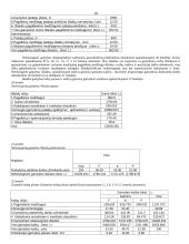 Įmonės bazinio periodo ekonominių rodiklių apskaičiavimas 10 puslapis