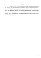 Įmonės ekonominė veikla: stiklo gamyba UAB "Stikora" 2 puslapis