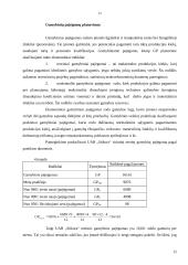 Įmonės ekonominė veikla: stiklo gamyba UAB "Stikora" 12 puslapis