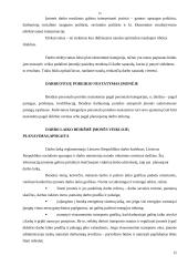 Įmonės ekonominė veikla: stiklo gamyba UAB "Stikora" 15 puslapis