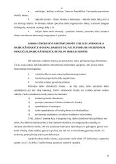 Įmonės ekonominė veikla: stiklo gamyba UAB "Stikora" 16 puslapis