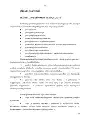 Įmonės ekonominė veikla: stiklo gamyba UAB "Stikora" 19 puslapis