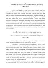 Įmonės ekonominė veikla: stiklo gamyba UAB "Stikora" 3 puslapis