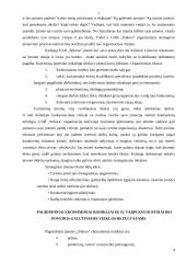 Įmonės ekonominė veikla: stiklo gamyba UAB "Stikora" 4 puslapis