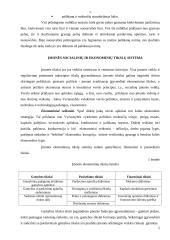 Įmonės ekonominė veikla: stiklo gamyba UAB "Stikora" 5 puslapis