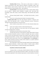 Įmonės ekonominė veikla: stiklo gamyba UAB "Stikora" 6 puslapis