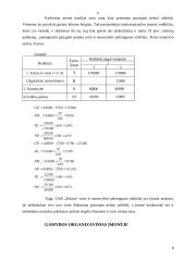 Įmonės ekonominė veikla: stiklo gamyba UAB "Stikora" 8 puslapis