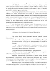 Įmonės ekonominė veikla: stiklo gamyba UAB "Stikora" 9 puslapis