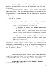 Įmonės ekonominė veikla: stiklo gamyba UAB "Stikora" 10 puslapis