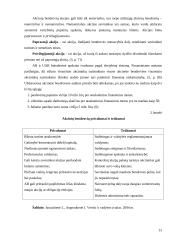 Įmonės ekonominiai tikslai ir valdymo formos 13 puslapis