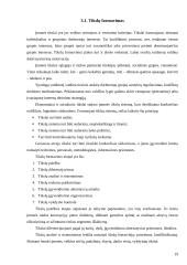 Įmonės ekonominiai tikslai ir valdymo formos 19 puslapis