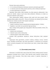 Įmonės ekonominiai tikslai ir valdymo formos 20 puslapis