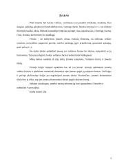 Įmonės ekonominiai tikslai ir valdymo formos 3 puslapis