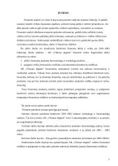 Įmonės finansinė analizė: AB "Vilniaus degtinė" 2 puslapis