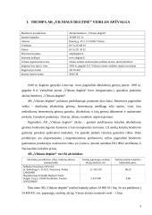 Įmonės finansinė analizė: AB "Vilniaus degtinė" 3 puslapis