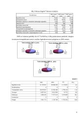 Įmonės finansinė analizė: AB "Vilniaus degtinė" 6 puslapis