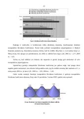 Įmonės finansinė analizė: Varėnos Pirminės Sveikatos Priežiūros Centras 19 puslapis