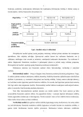 Įmonės finansinė analizė: Varėnos Pirminės Sveikatos Priežiūros Centras 4 puslapis
