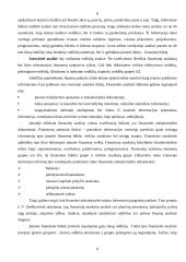 Įmonės finansinė analizė: Varėnos Pirminės Sveikatos Priežiūros Centras 5 puslapis