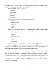 Įmonės finansinė analizė: Varėnos Pirminės Sveikatos Priežiūros Centras 6 puslapis