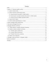 Įmonės finansinė strategija: sportinių drabužių siuvimo įmonė 3 puslapis