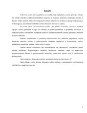 Įmonės finansinė strategija: sportinių drabužių siuvimo įmonė 4 puslapis