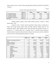 Įmonės finansinė strategija: sportinių drabužių siuvimo įmonė 6 puslapis