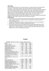 Įmonės finansinės veiklos tyrimas: AB "Dvarčionių keramika" 13 puslapis