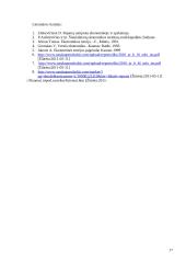 Įmonės finansinės veiklos tyrimas: AB "Dvarčionių keramika" 17 puslapis