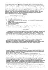 Įmonės finansinės veiklos tyrimas: AB "Dvarčionių keramika" 4 puslapis