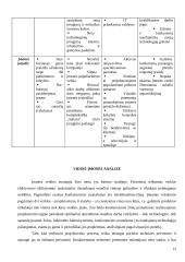 Įmonės finansų analizė: projektavimas ir statybos darbai UAB "Projektana" 11 puslapis