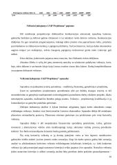 Įmonės finansų analizė: projektavimas ir statybos darbai UAB "Projektana" 19 puslapis