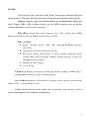 Įmonės finansų analizė: projektavimas ir statybos darbai UAB "Projektana" 2 puslapis