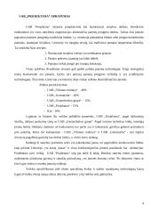 Įmonės finansų analizė: projektavimas ir statybos darbai UAB "Projektana" 3 puslapis