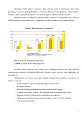 Įmonės finansų analizė: projektavimas ir statybos darbai UAB "Projektana" 6 puslapis
