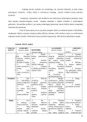 Įmonės finansų analizė: projektavimas ir statybos darbai UAB "Projektana" 9 puslapis