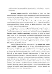 Įmonės finansų analizė: statybos darbai UAB "Litvarus" 12 puslapis