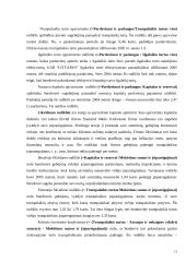 Įmonės finansų analizė: statybos darbai UAB "Litvarus" 13 puslapis