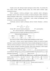 Įmonės finansų analizė: statybos darbai UAB "Litvarus" 15 puslapis