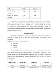 Įmonės finansų analizė: statybos darbai UAB "Litvarus" 16 puslapis