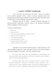 Įmonės finansų analizė: statybos darbai UAB "Litvarus" 3 puslapis