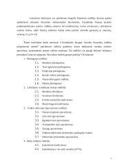 Įmonės finansų analizė: statybos darbai UAB "Litvarus" 5 puslapis